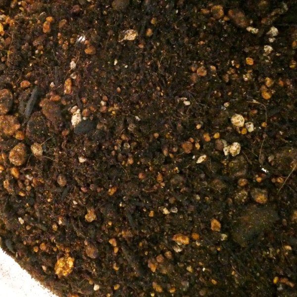 (無肥料)育苗ポット培土【40Lx10袋】