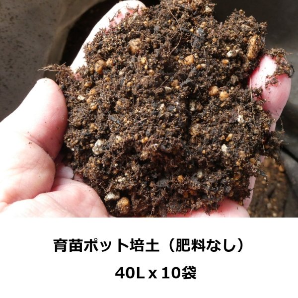 （無肥料）育苗ポット培土【40Lｘ10袋】