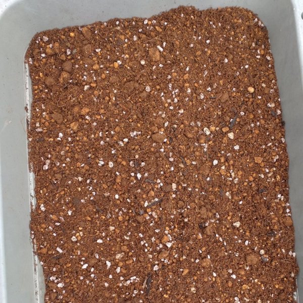 いちご培土(高設用)【40Lx10袋】肥料なし無地袋