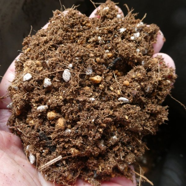 いちご培土(高設用)【40Lx10袋】肥料なし無地袋