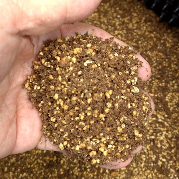 いちご培土 鹿沼土タイプ【30Lｘ10袋】初期肥料入り（無地袋）