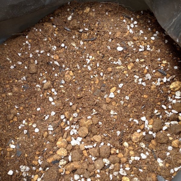 いちご培土(高設用)【40Lx10袋】肥料なし無地袋