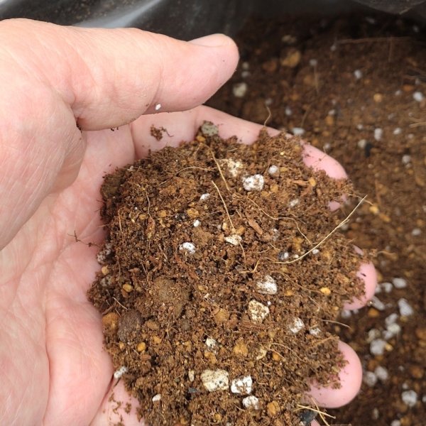 いちご培土(高設用)【40Lx10袋】肥料なし無地袋