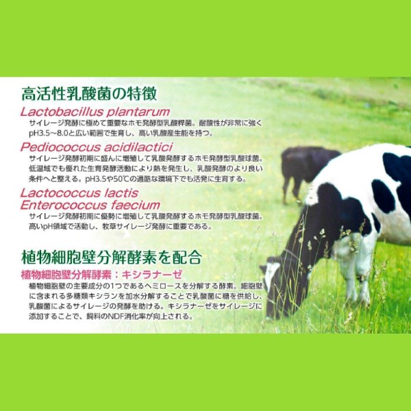 サイレージ調製用高活性乳酸菌｜ニューバイオパワーS【50g（10トン用）】