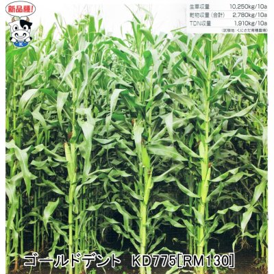 画像2: サイレージ調製用高活性乳酸菌｜ニューバイオパワーS【50g（10トン用）ｘ5袋】【A飼料】水溶性タイプ【いくつでも全国一律送料530円】