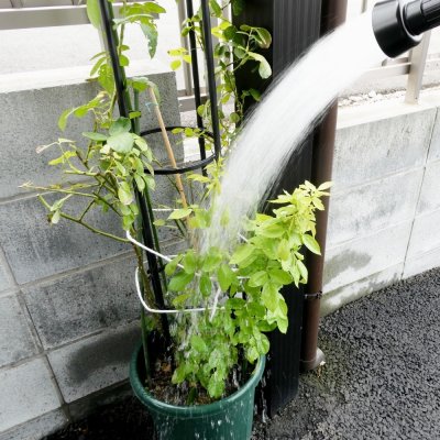 画像1: マイクロバブルが根に効く｜シャワーロングノズル｜酸素を補給するマイクロバブルノズル｜カクイチ