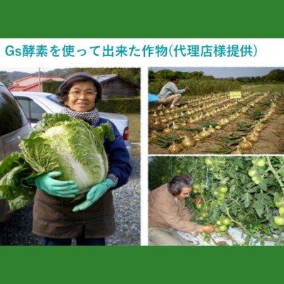 画像2: 有機JAS活性液｜Gs酵素【10L・20L】【送料無料】糖、カルシウム、亜鉛パワーの酵素液で植物元気