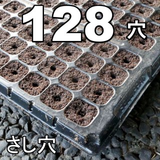コカピー【72穴】(10枚入り) カネコ種苗オリジナル固化培土｜苗の生産