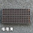 カネコ種苗オリジナル固化培土　コカピー【72穴】(10枚入り)