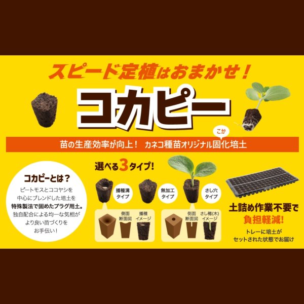 カネコ種苗オリジナル固化培土　コカピー【200穴】(10枚入り)