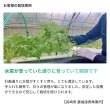 --微生物の力-- 生きてる肥料【1L】