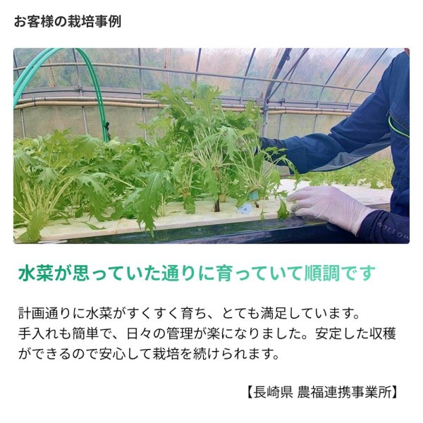 --微生物の力-- 生きてる肥料【1L】