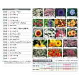 景観用種子】カネコ アソートミックス《草丈40-60cm》【200g/100平方m