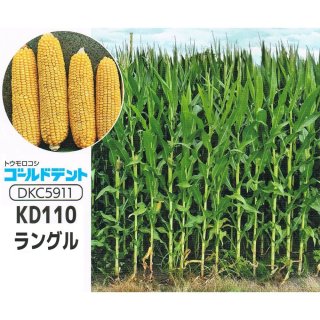 全商品 - たまごや商店 (Page 14)