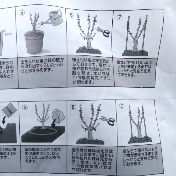 薔薇の土（バラの土）【16L】シュートの出やすい成分をプラス