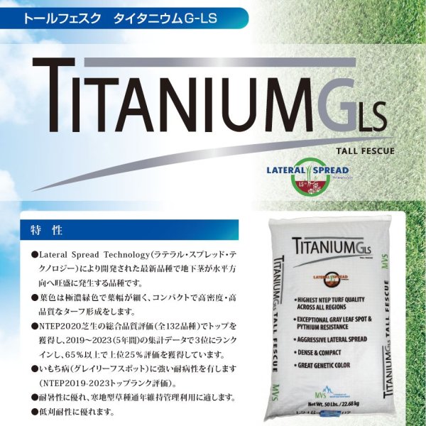 トールフェスク タイタニウムGLS（Lateral Spread）