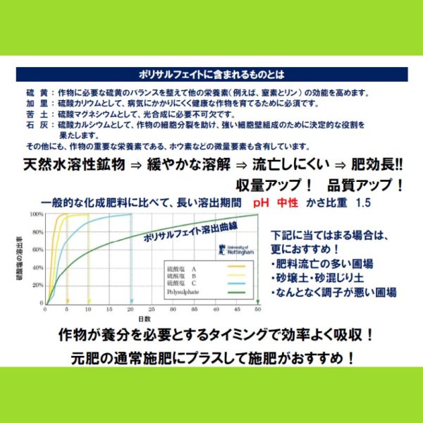ポリサルフェイト