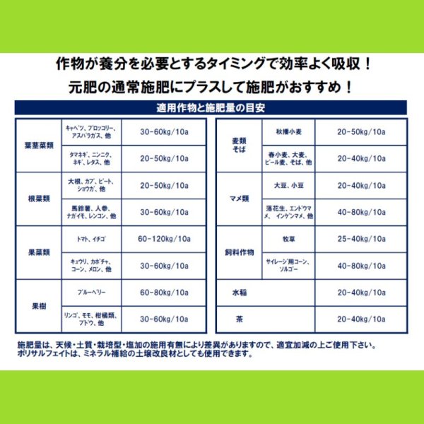 ポリサルフェイト