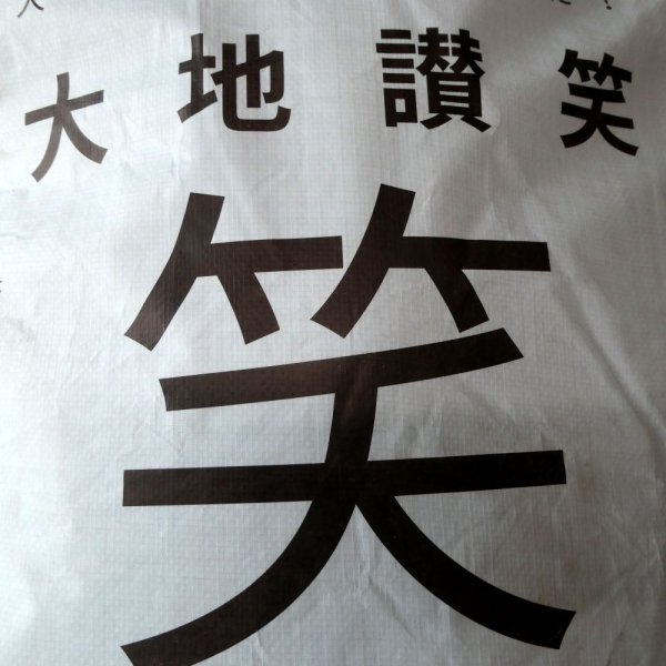 【粒状】膨潤粘土鉱物ベントナイト｜大地讃笑（だいちさんしょう）【20kg】2:1型モンモリロナイト