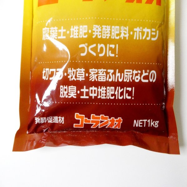 コーランネオ