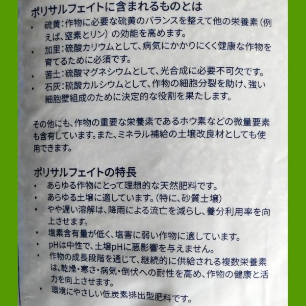ポリサルフェイト