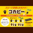 画像1: コカピー【50穴・無加工】（10枚入り）カネコ種苗オリジナル固化培土｜苗の生産効率が向上！特殊製法で固めたプラグ用土 (1)