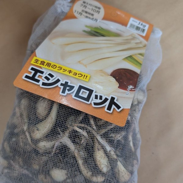 エシャロット（生食用ラッキョウ）