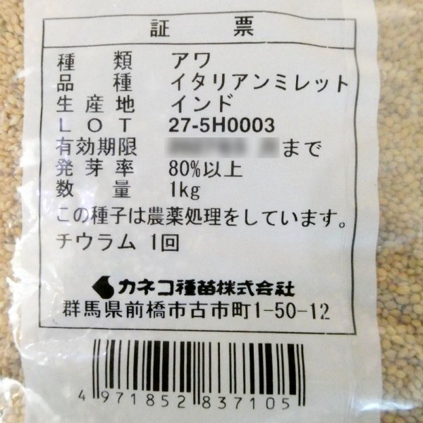 イタリアンミレット