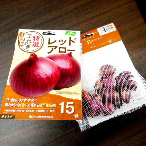 極早生タマネギ　レッドアロー