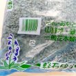 軽石-小粒