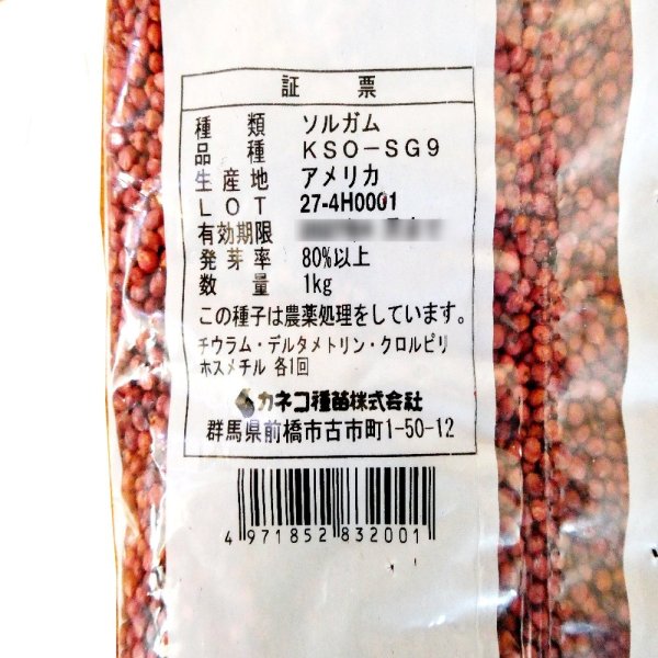 ちいさいソルゴー
