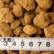栃木県産《上質》赤玉土 大粒
