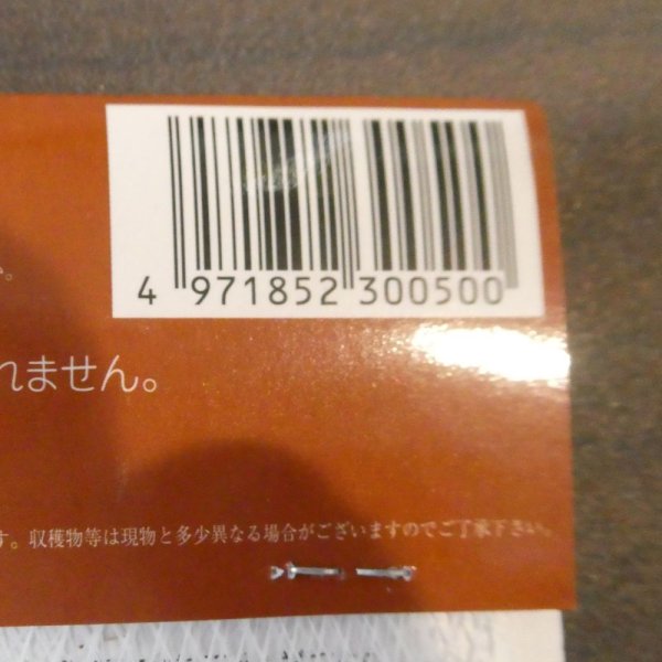 極早生タマネギ　レッドアロー15球入り