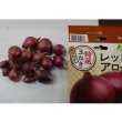 極早生タマネギ　レッドアロー15球入り
