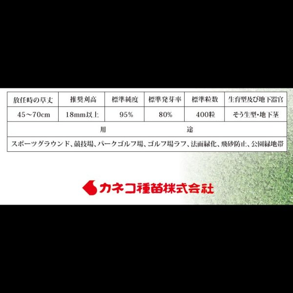 トールフェスクブルズアイLTZ