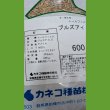 画像12: タフグリーン【1.5L】暑さ寒さに強い西洋芝 ｜Ｊ・ガーデングラス｜カネコ種苗 (12)