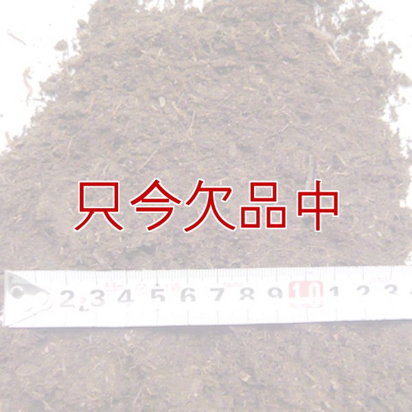 pH未調整【短繊維】北海道産ピートモス【50L】