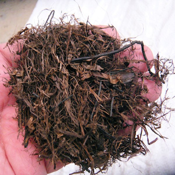 pH未調整【長繊維】北海道産ピートモス(50L)