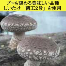 しいたけ 327」原木しいたけ・きのこ種菌 - 菌興椎茸協同組合