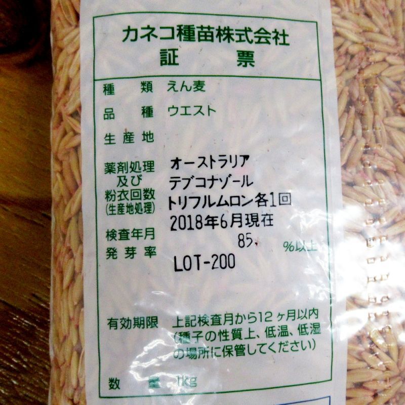 直営ストア えん麦種子 品種：極早生スプリンター ペット用 農薬未処理 1kg 牧草の種