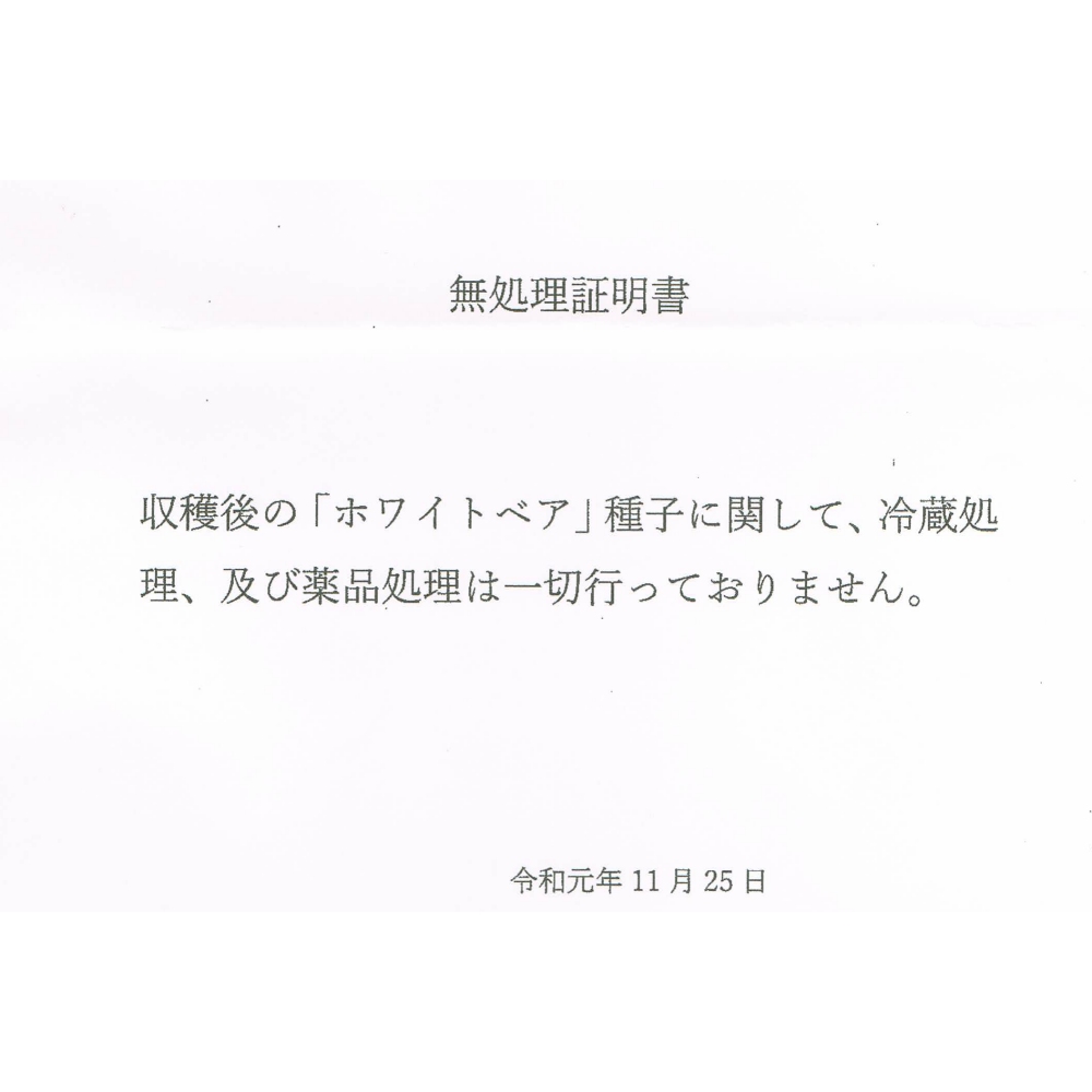 種ニンニク（くまちゃん）「福地ホワイト６片」【100g単位売り】【食用