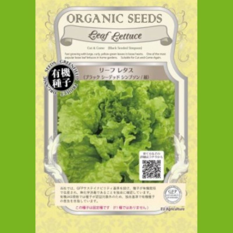 ｜葉　緑【大袋0.5dl】Lactuca　sativa　ブラックシーデッドシンプソン　有機種子・固定種】リーフレタス　菜の有機種子｜【タネ】GFPサステイナビリティ基準有機種子｜たまごや商店