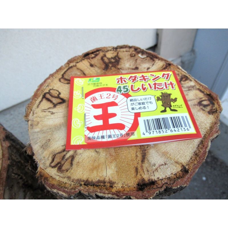 オガ菌完熟ホダ木-ホダキングしいたけ「おいしい品種 菌王2号