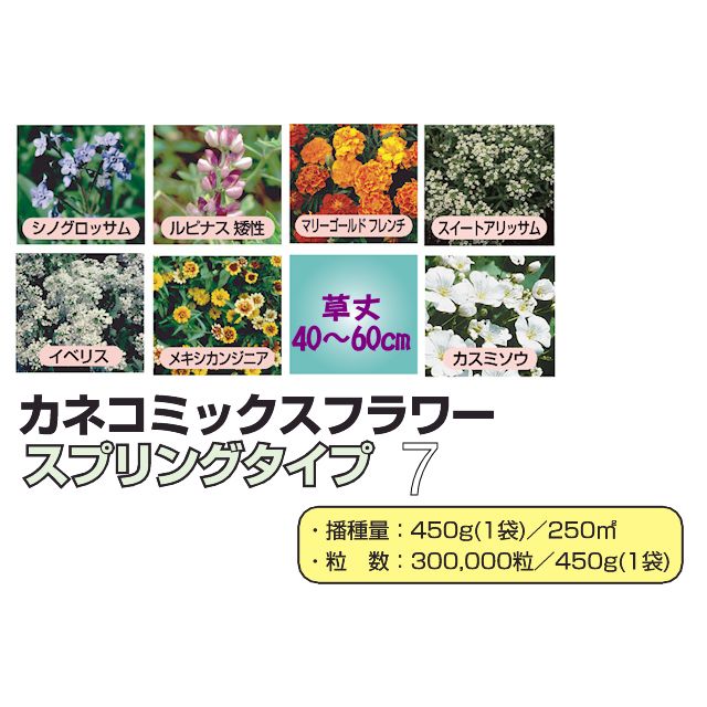 景観用】カネコミックスフラワー《スプリングタイプ7》草丈40