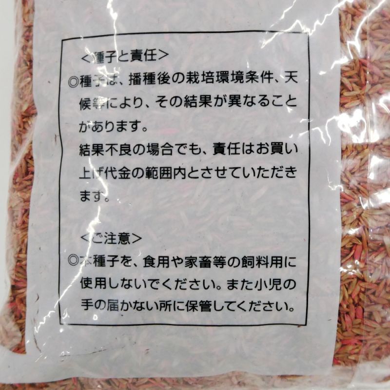 （早生・短期利用型）　種子　】　栽培用　F1　飼料用　22.5kg　1kg　イタリアンライグラス　ライジン・・2　カネコ種苗-